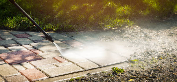Best Sidewalk and Walkway Cleaning  in Roscoe, TX